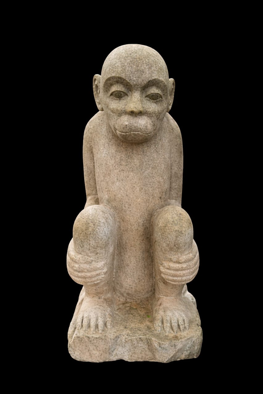 Forest Guardian Monkey