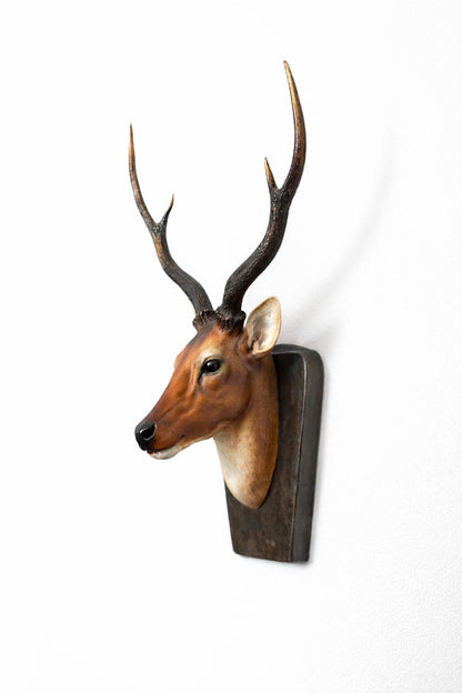 Stag Head – Nano Stone Majesty