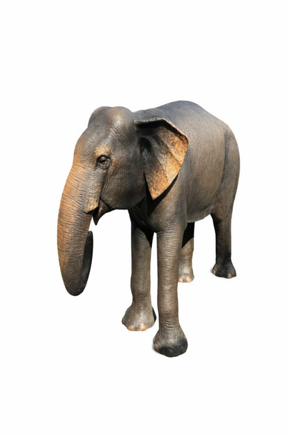 Forest Elephant – Regal Giant